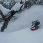 Hakuba Ski Guide