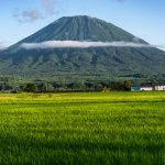 Mount Yotei Summer