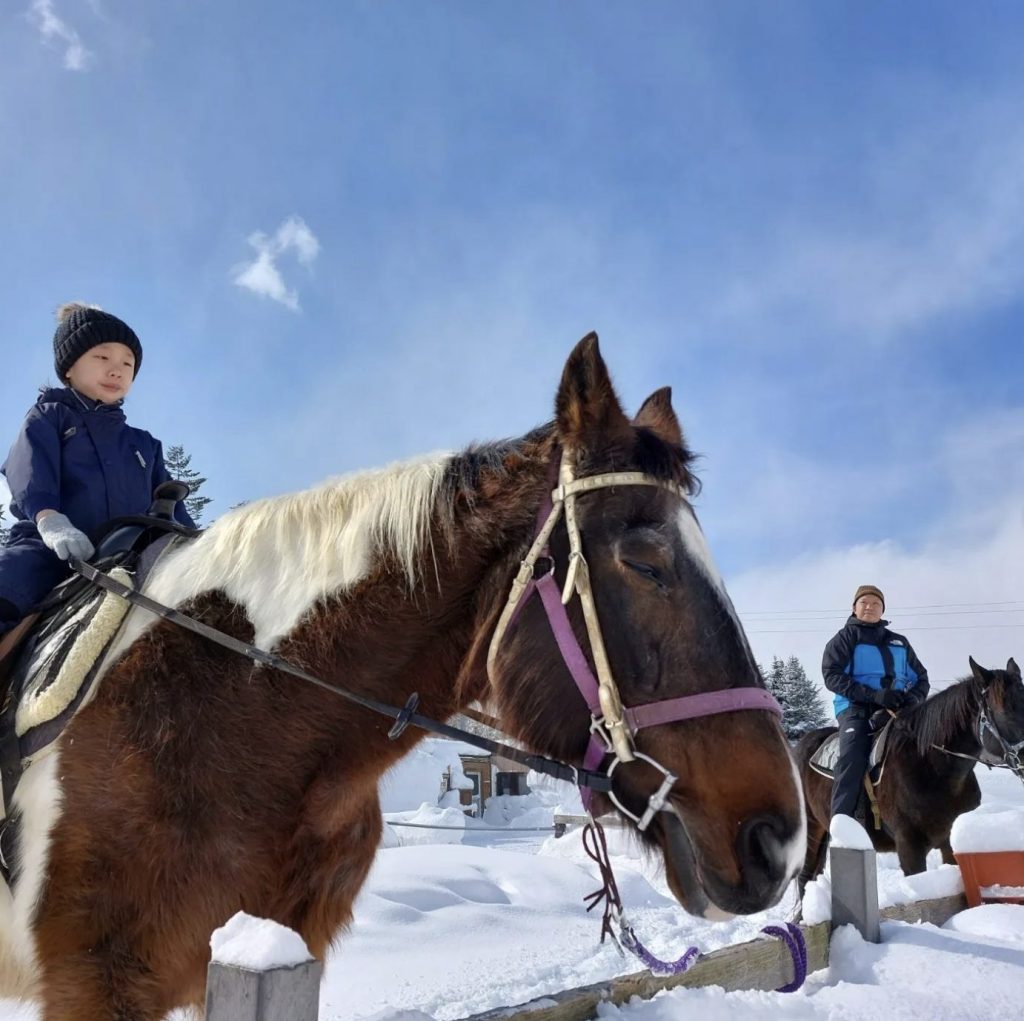 Horseback riding at Niseko