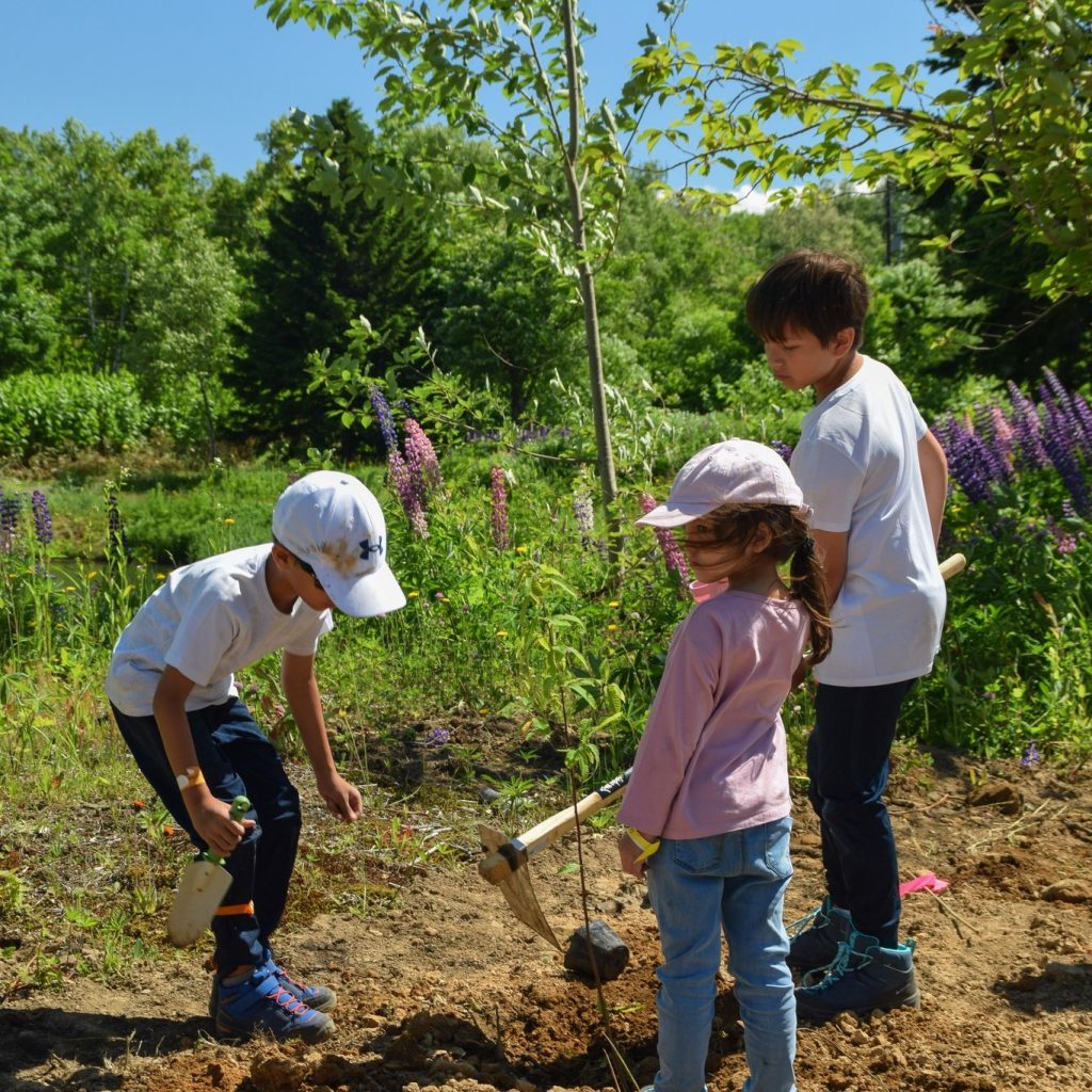 Kids planting trees